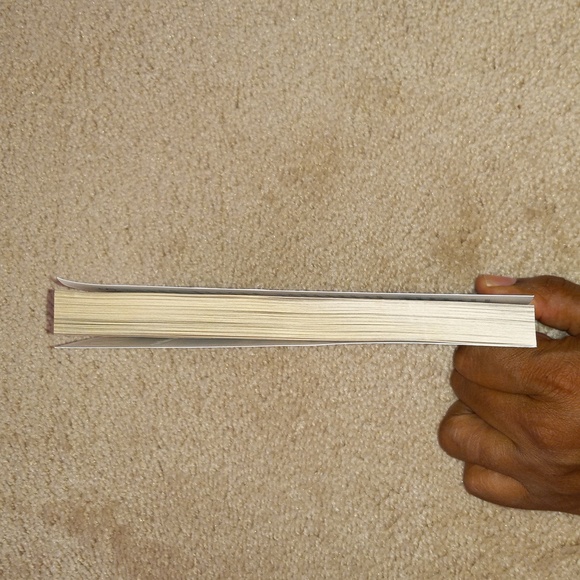 The Outsiders (Author: S.E. Hinton) - Picture 3 of 8